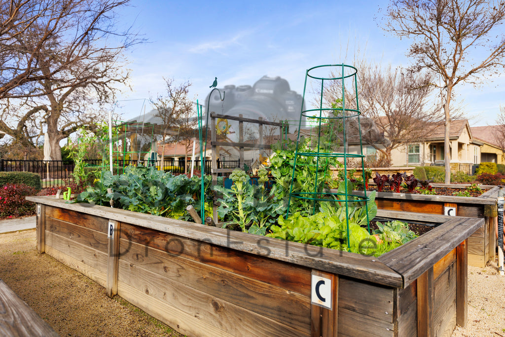 Eskaton Village Roseville - Stock Photos