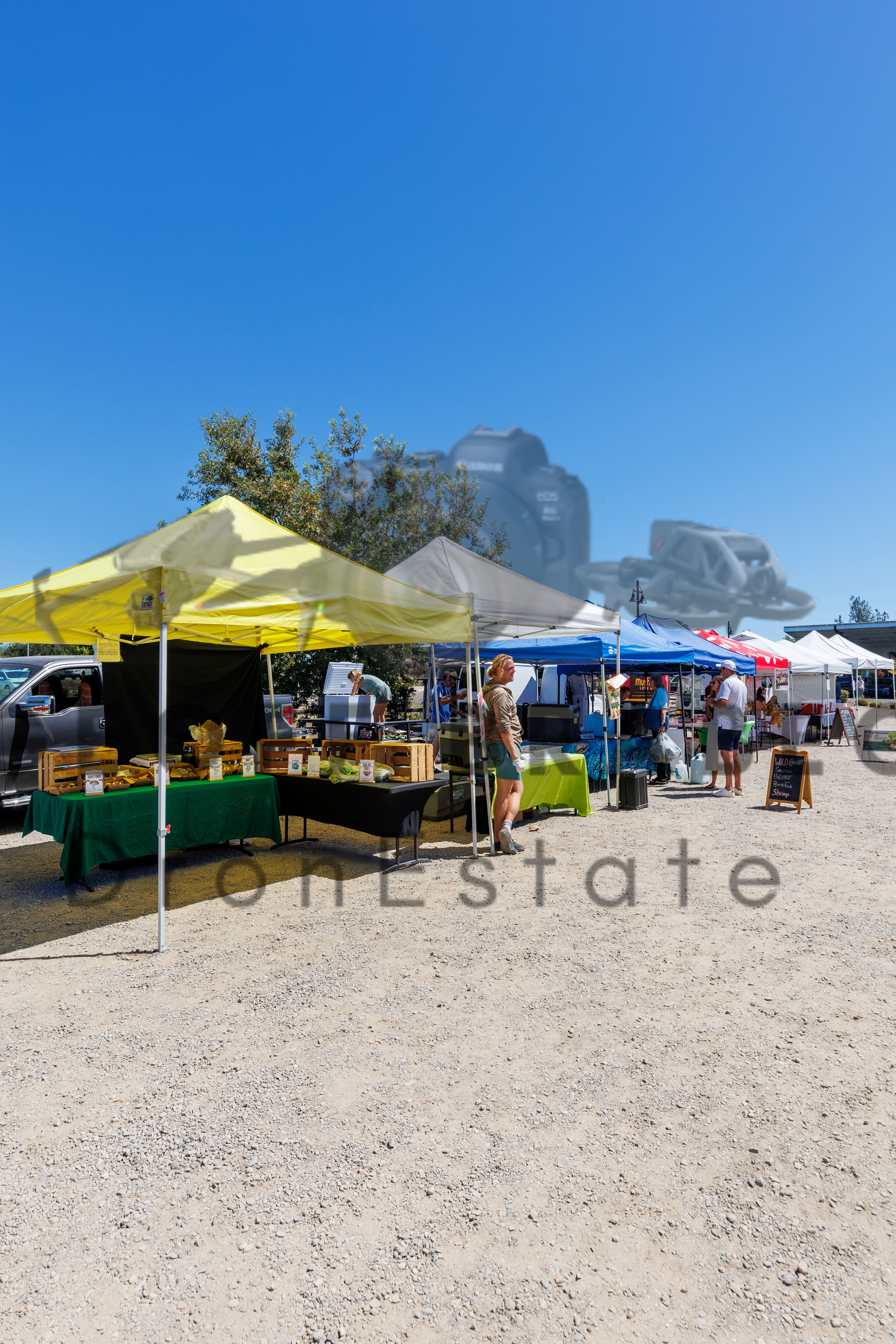 Rocklin Community Farmers Market - Free Download