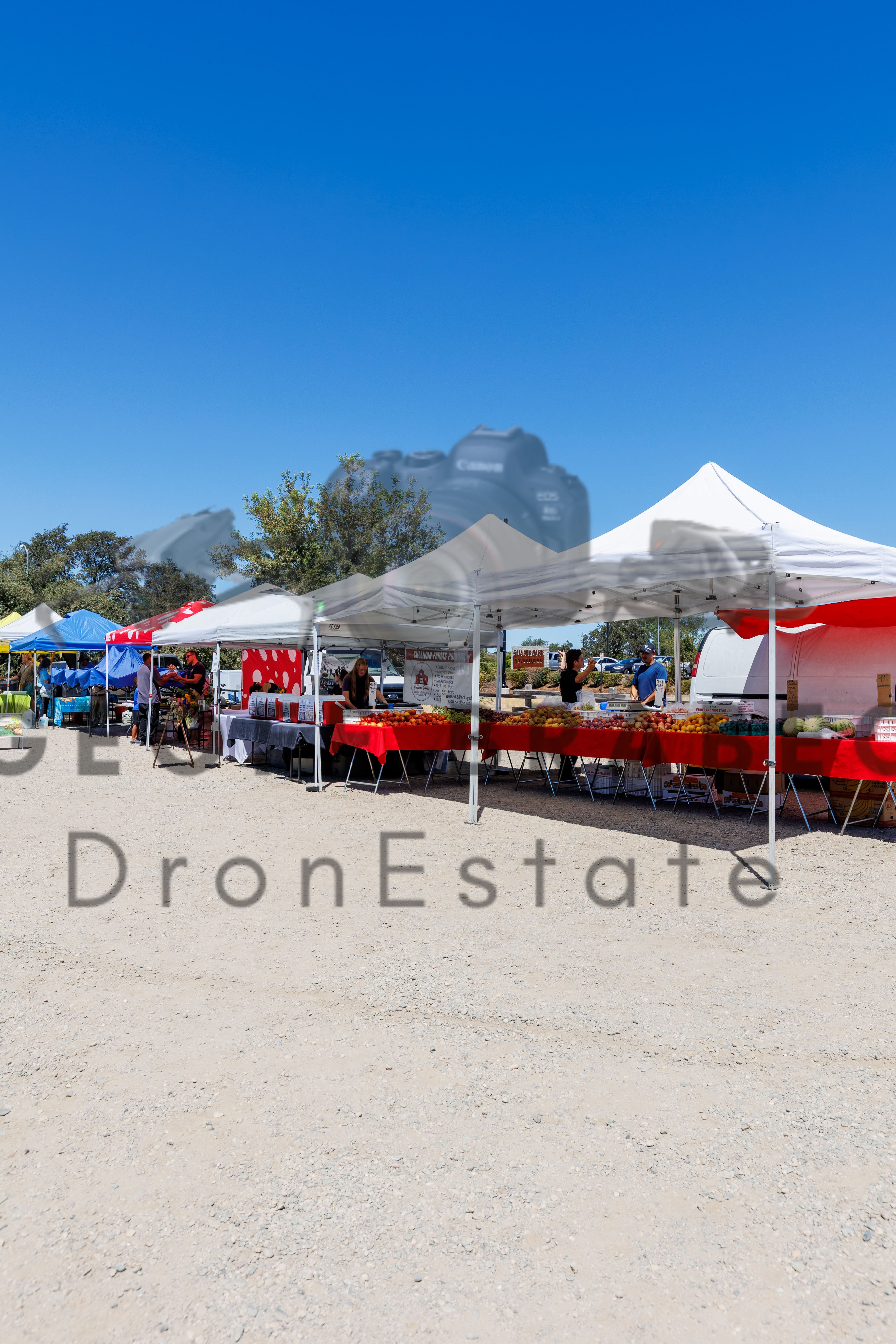 Rocklin Community Farmers Market - Free Download