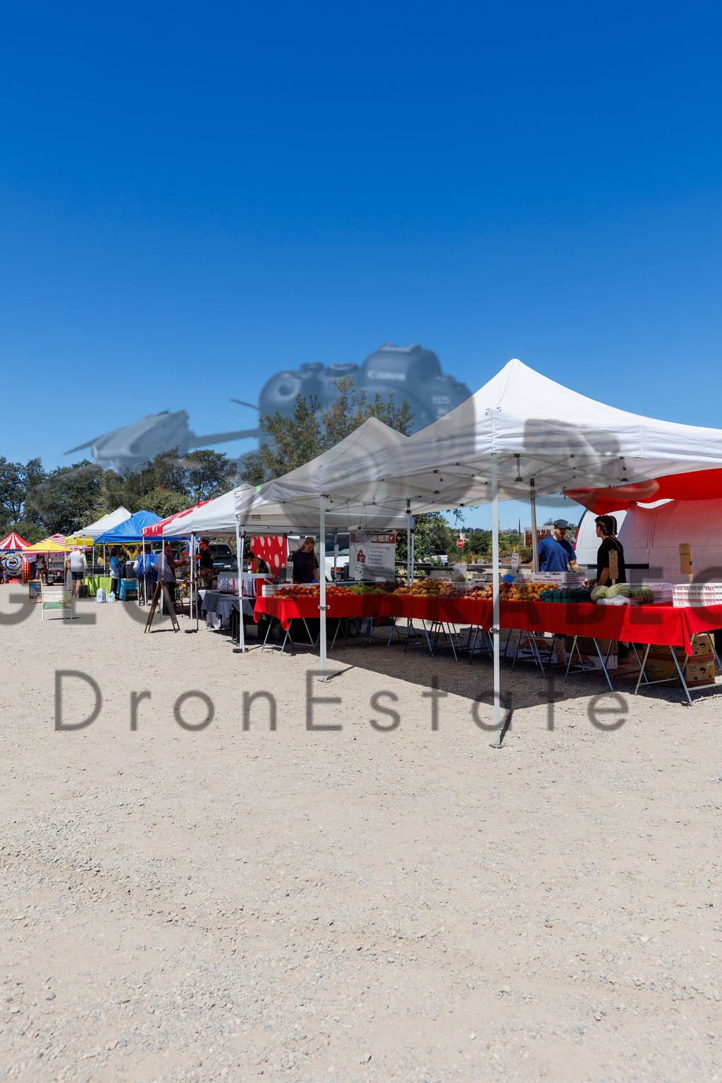 Rocklin Community Farmers Market - Free Download