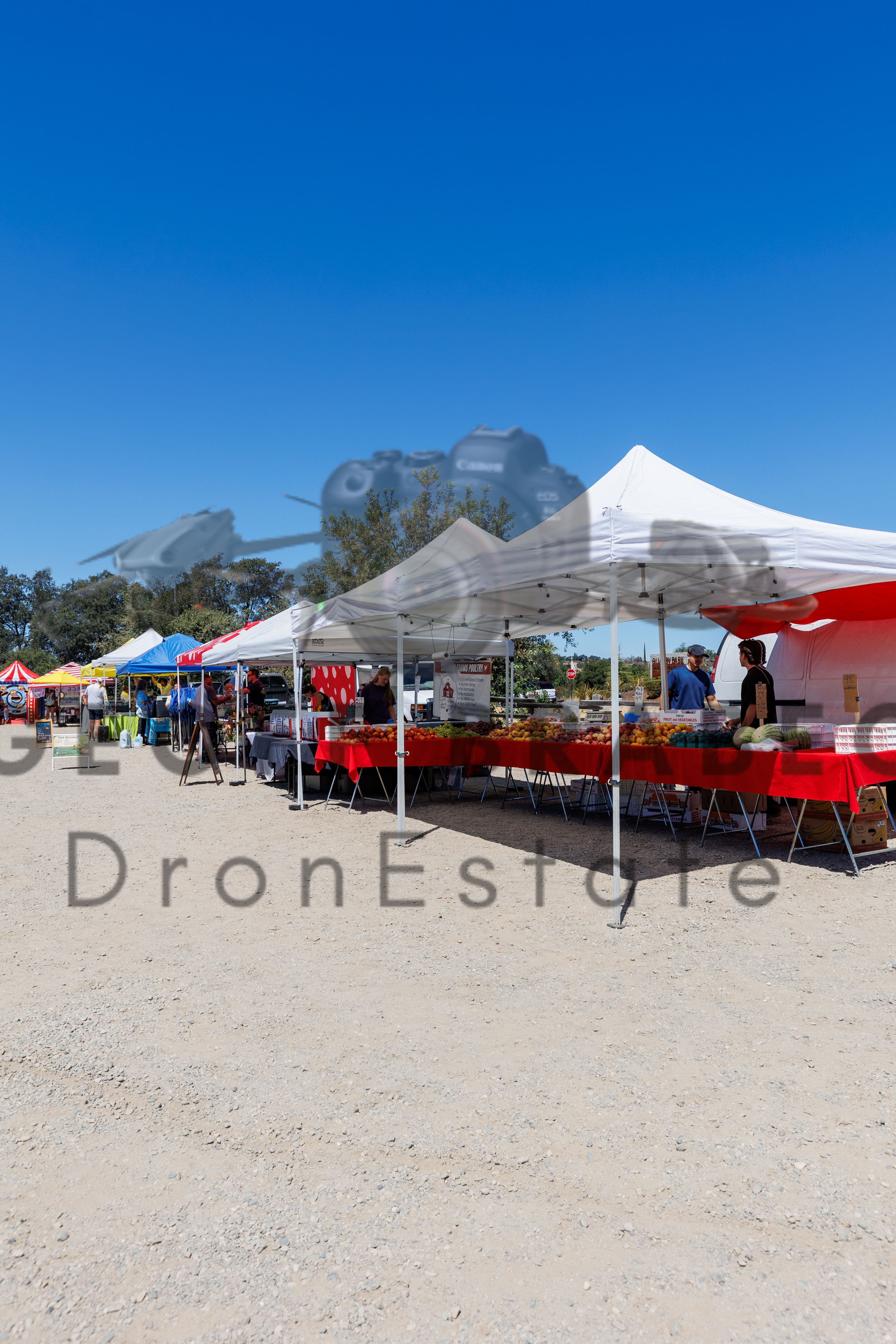 Rocklin Community Farmers Market - Free Download