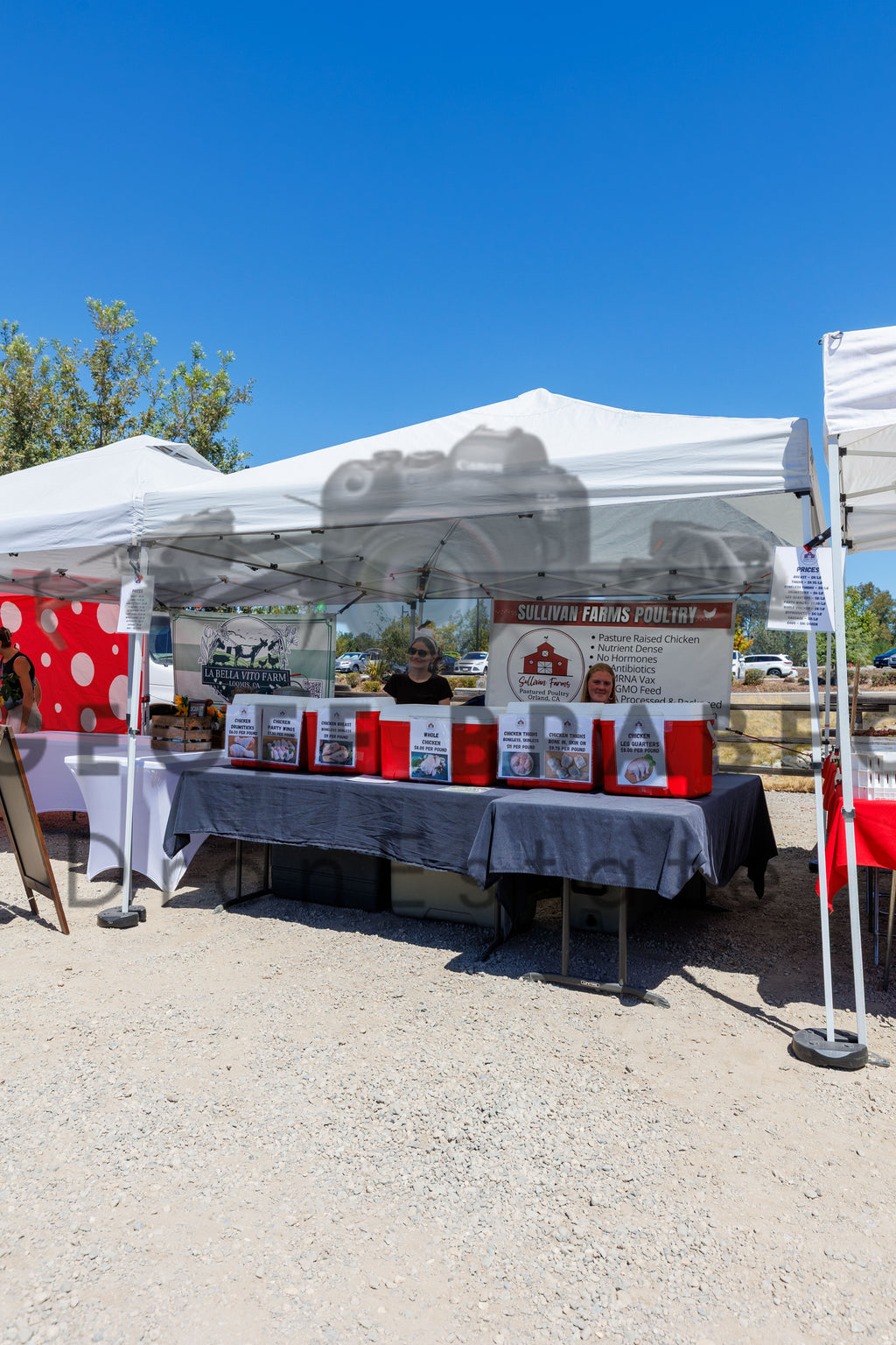 Rocklin Community Farmers Market - Free Download