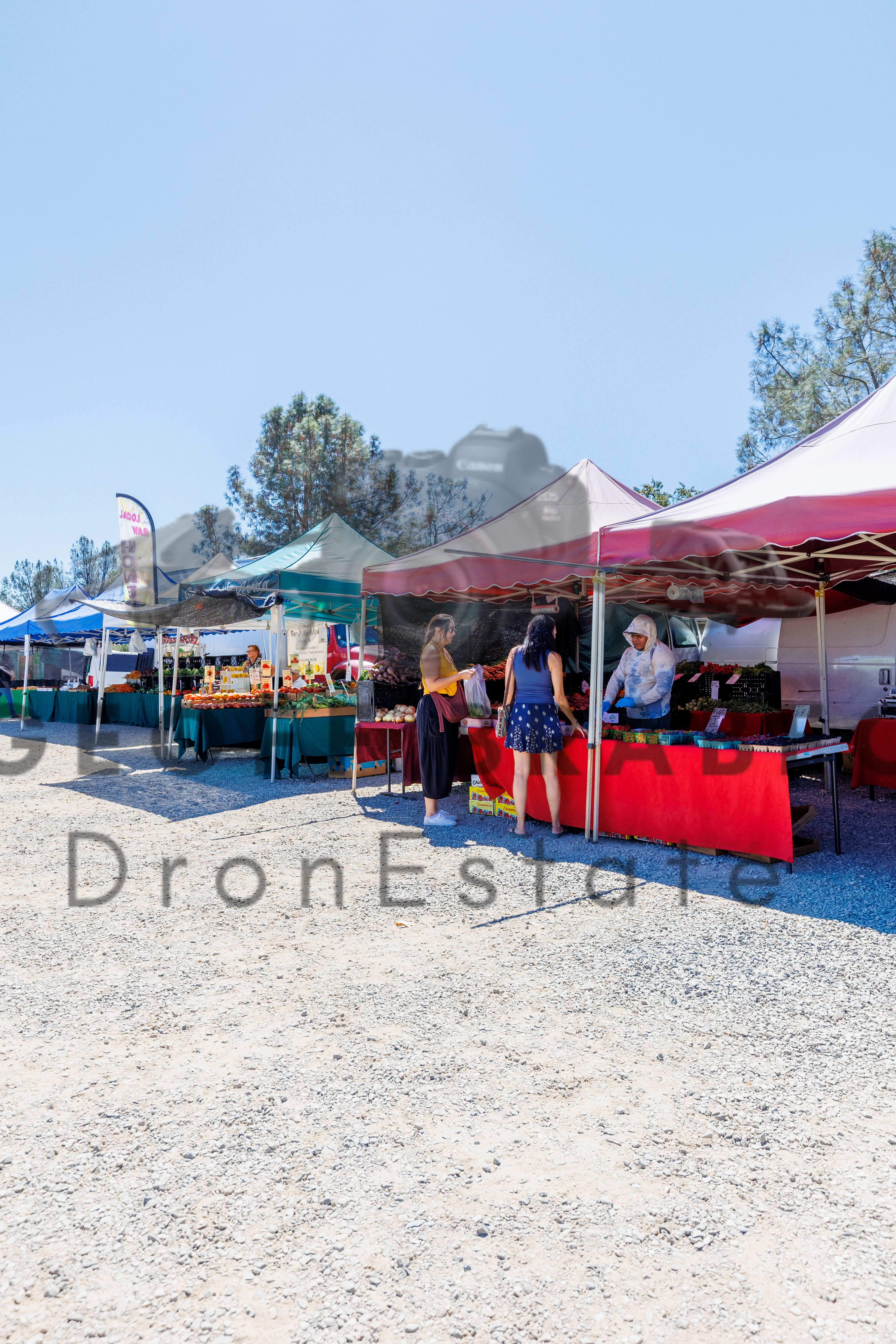 Rocklin Community Farmers Market - Free Download